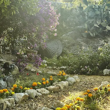 Hotel Koop' / Eski 4*