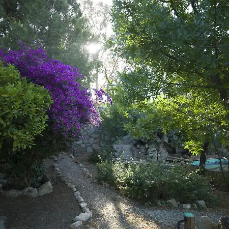 Hotel Koop' / Eski Datca