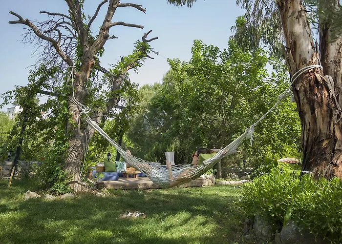 Koop' / Eski 4* Datca