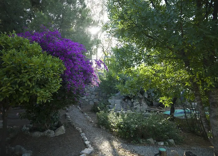 Hotel Koop' / Eski Datca