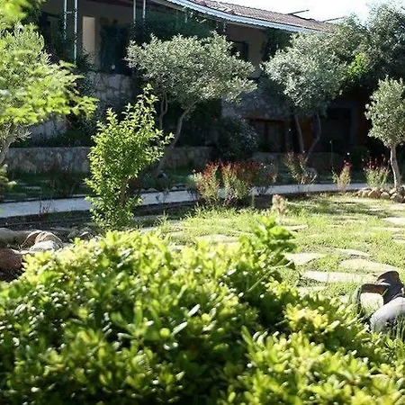 Koop' / Eski 4* Datca